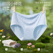 ʽ黨ѝŮĪٽzӡddŮѝ