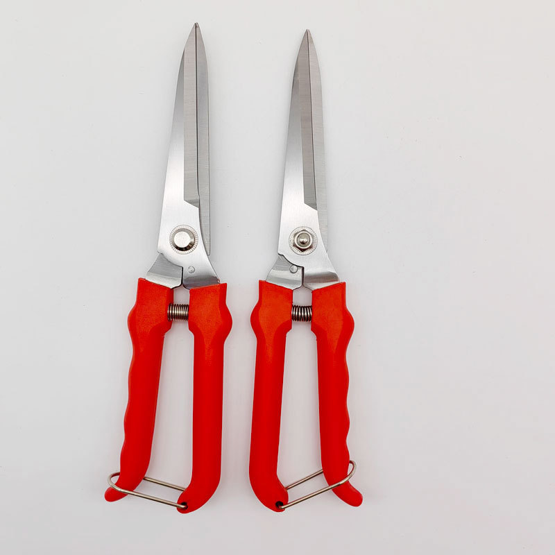 花椒剪 蔬果剪 稀果葡萄修果剪刀 果树修剪多肉盆栽景修枝剪刀