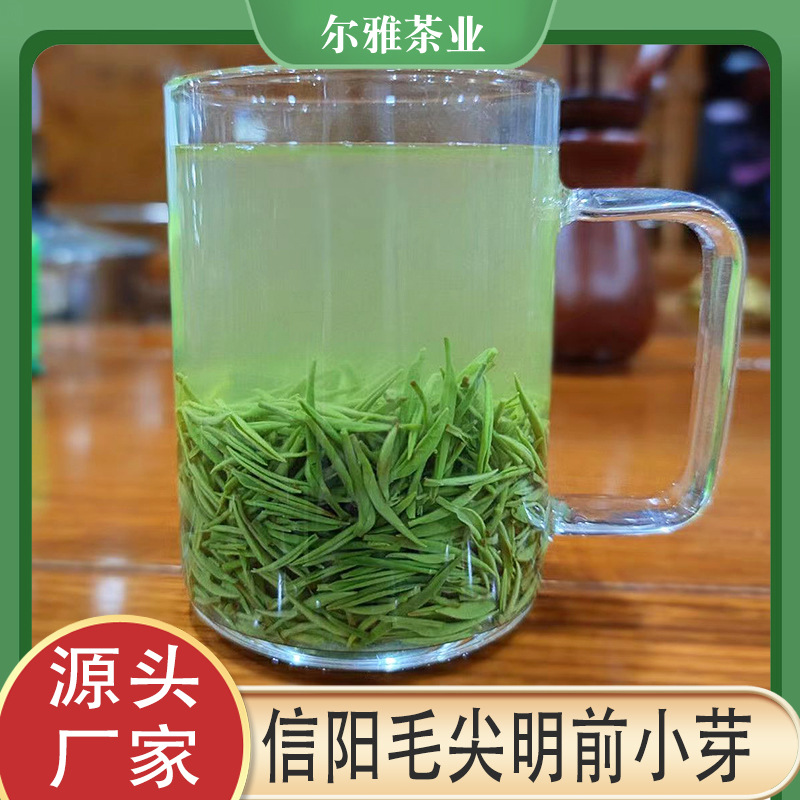 2025新茶厂家批发高档礼品盒装送礼信阳毛尖明前特级绿茶嫩芽500g