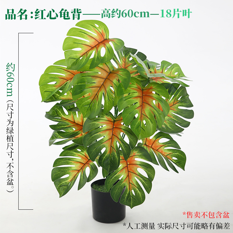 赤いハートのカメの葉 18枚