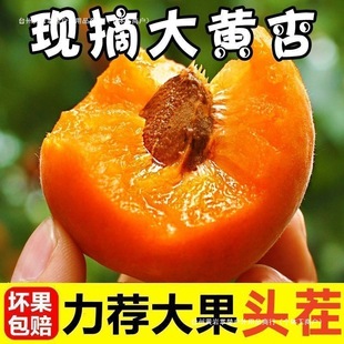 ���rˮ��������5��9����S�����ӬFժ�F�l�ЋD��������ˮ���ϙ�Ʒ