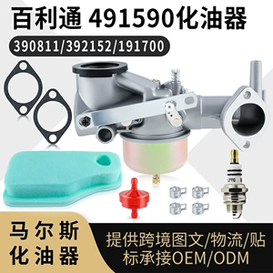 Bailiton 491590 Carburetor Kit 390811 392152 191700 192700