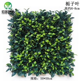 �S�ҹ�������ֲ�����ֲ������ƺ �b����ϲ�ƺ����d���~