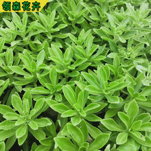 ���߾��칫�@�G�����̻��� �޸��ر�ֲ�����߾����������l