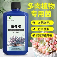 推荐【多肉专用】肉多多辅助多肉上色增肥促根多头爆芽生根防徒长