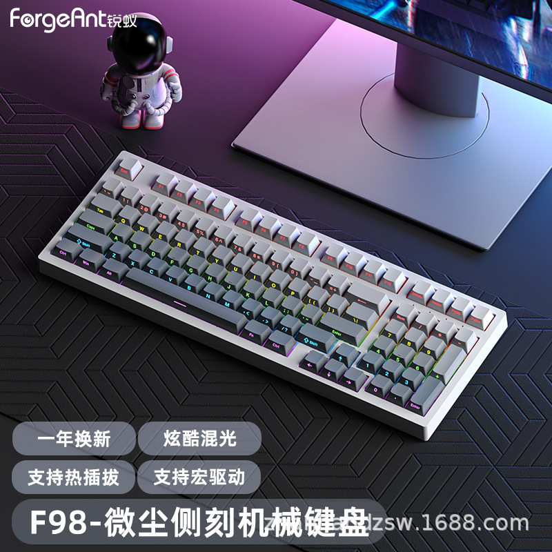 Ruiyi F98 メカニカルキーボードゲーム e スポーツ PBT オフィス有線サイド刻印マルチカラーグラデーションノートブック緑茶赤軸|undefined