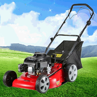 Self-propelled orchard lawn mower four-stroke gasoline lawn mower flower garden lawn mower
