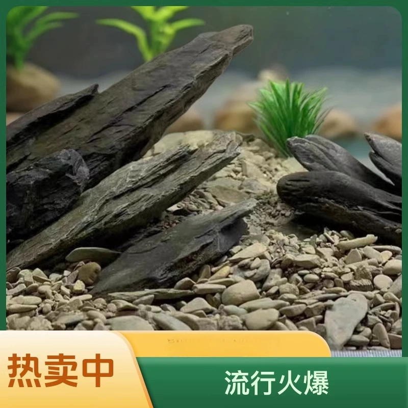 Бутик Ручей Сланья Черепаха Снежная Скальная Скала