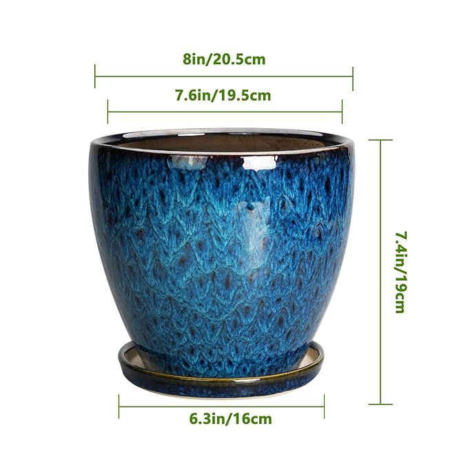 horno azul de cerámica mariposa orquídea verde plantación doméstica gran maceta decoración para el hogar con bandeja Amazon