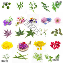 �����b������������rֲ��͏d���r�[�P��P��˾����