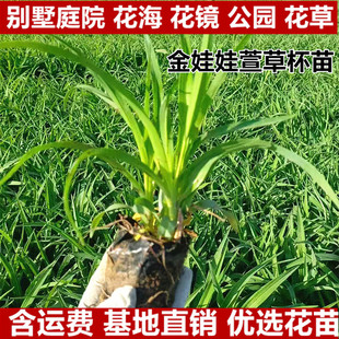 �����޴���ݱ�������^�p���ݶ������޸�ֲ��ͥԺ�e���^�p����