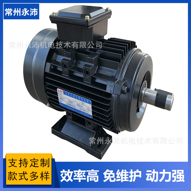 永磁无刷直流电机 60V4KW1500RPM 直流无刷电机 永磁无刷直流电机