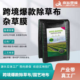 亚马逊跨境PP防草布 杂草膜 盖草布 除草布 户外露营地垫 抑草席