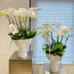 胡蝶蘭専用植木鉢、軽くて豪華で高級感のある黒の芸術的な花瓶、背の高い大型セラミック製植木鉢