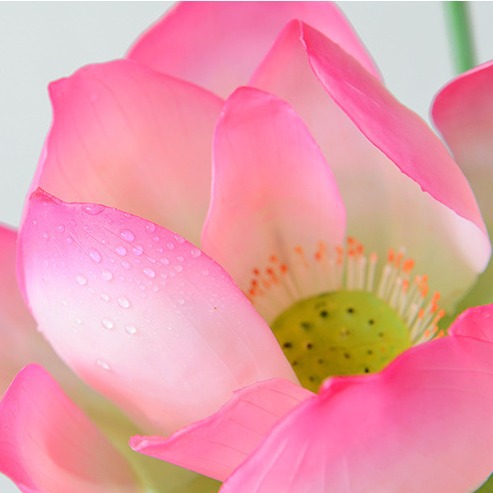 Flor artificial de loto hoja de loto falsa sala de estar de loto plástico PU decoración de flor falsa decoración de piscina accesorios de fotografía