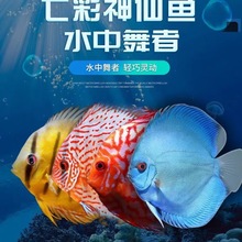 �߲��~�Ꭷ�~�^�p�~���y���������{�t�����c 2-10����