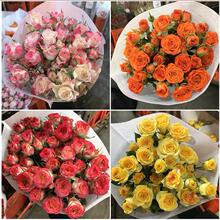 �����z�Ȱű�������^Сõ���Nޱ�������������ֱ�l�ٺ���Ϧ���l