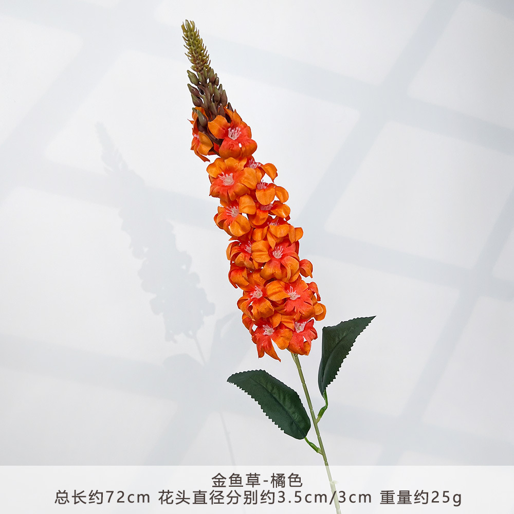 S-Verbena-Cam