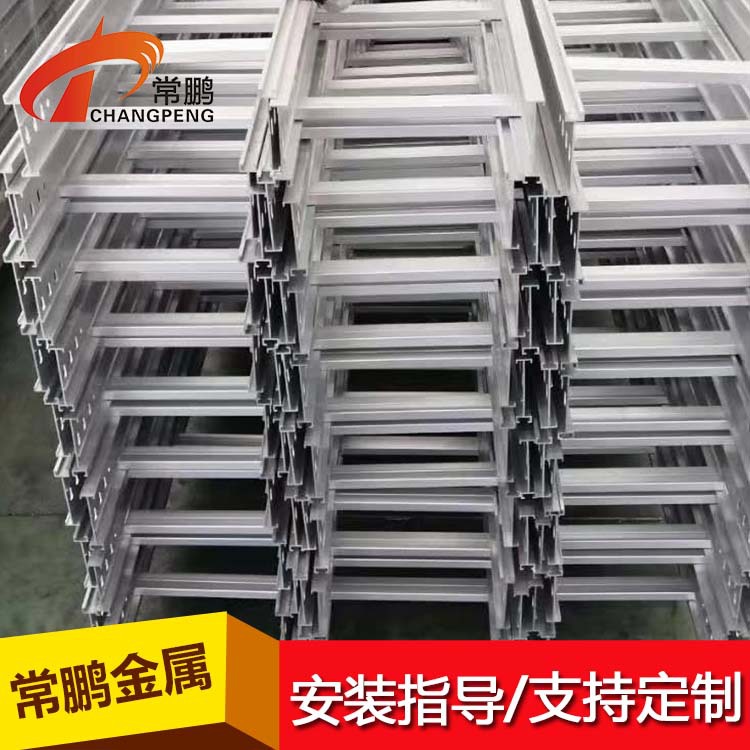 机房走线防火梯式桥架 配电输电设备用电缆桥架 上海厂家 常鹏