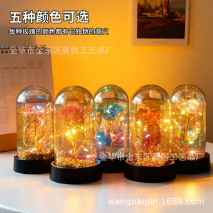 520������õ�廨Сҹ�������֔[���}�Q�����˹��Y�����˹��Y��