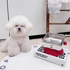 猫用背の高いボウル、傾斜口の餌入れ、転倒防止犬用餌入れ、プラスチック製ペットボウル、ステンレスボウル、国境を越えた卸売