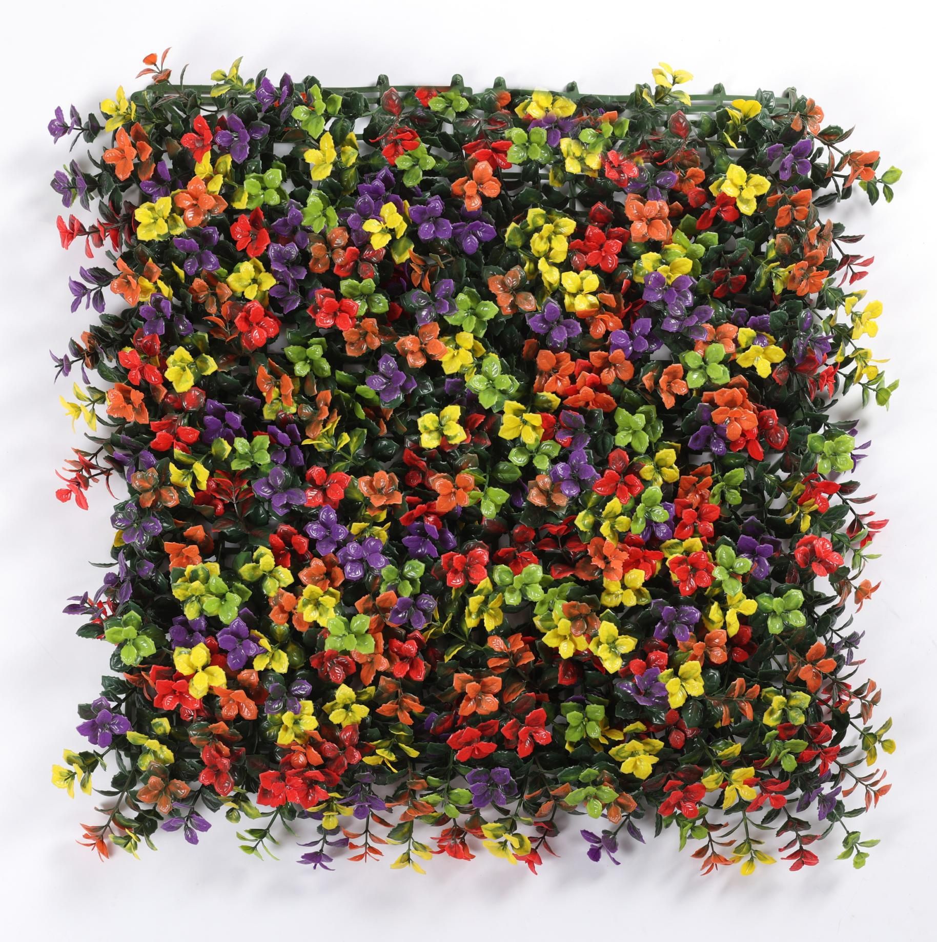 Colorful lucky grass