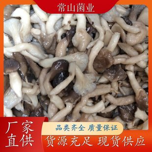 �}�n���� ������ Ģ�� �I�B�S������Ҝ����� �F؛����