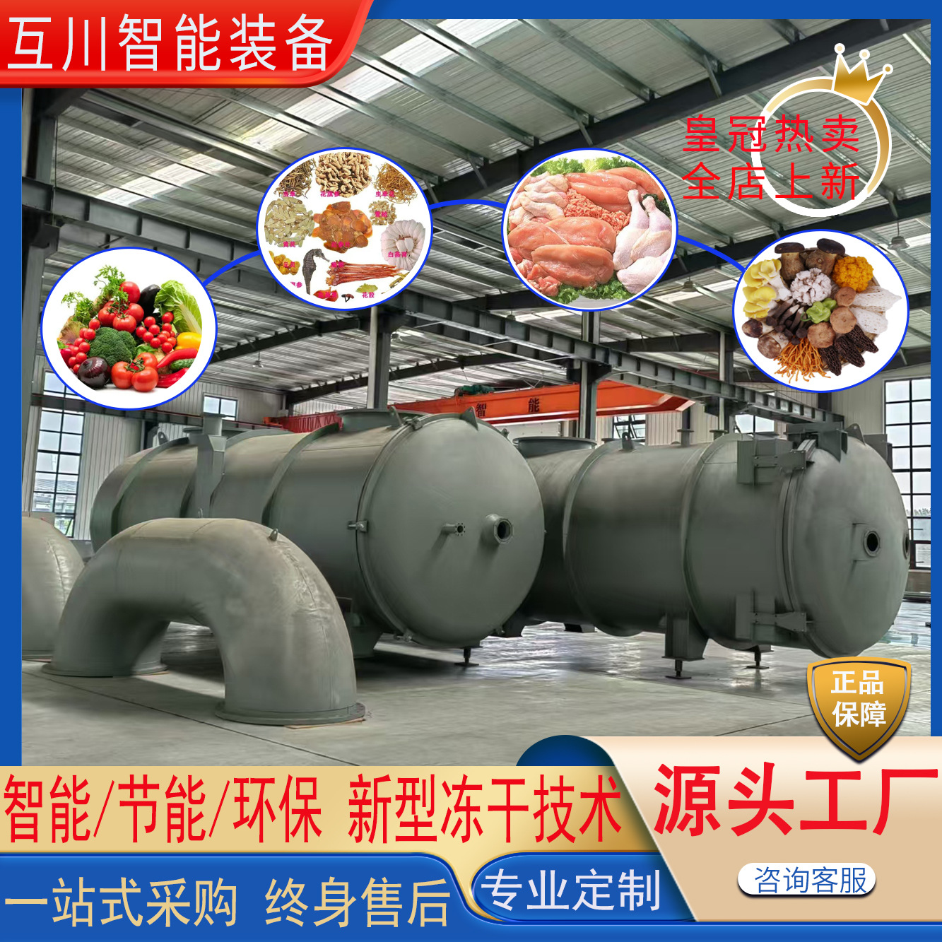 真空冷冻干燥机 大型商用果蔬冻干流水线 香蕉火龙果低温冻干设备