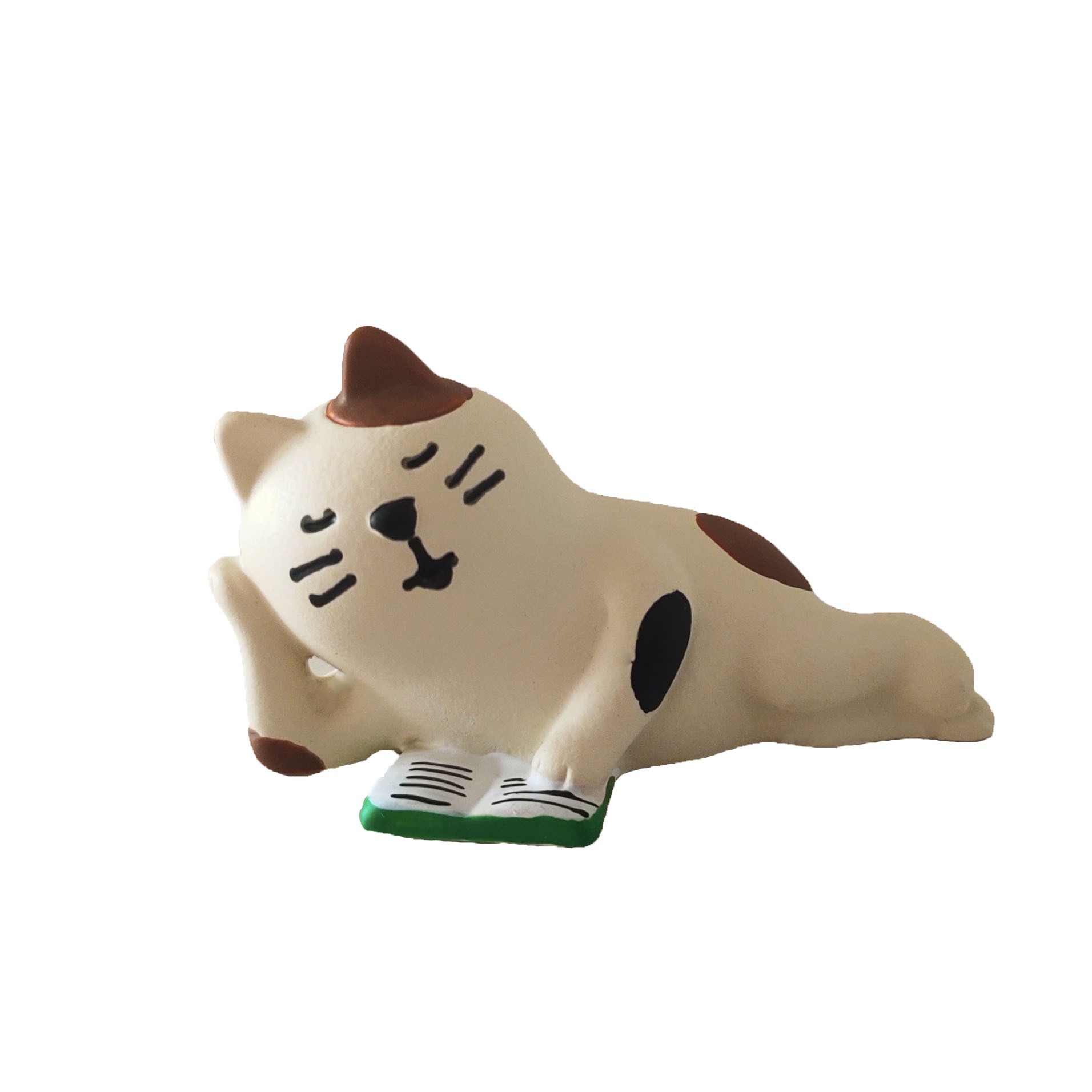 잠자는 자세로 책을 읽는 고양이