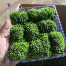 Z̦װl̦\Bƿ΢^diybɽ쾰΢GֲBƿ