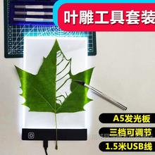 ~Ƭ̵13XϽ̵ӹP~Сֹ