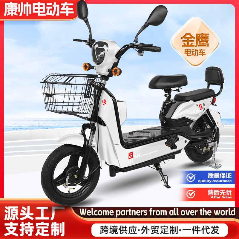 Jinyang vehículo eléctrico de batería de plomo - ácido motor eléctrico mayorista fuente fábrica de dos ruedas de vehículo de batería transfronterizo