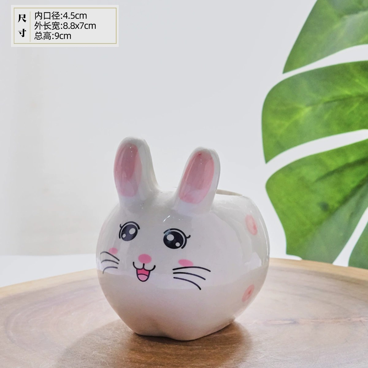 Succulent plant cartoon carved cement hand -painted flower pot desktop pallets wholesale