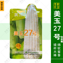 批发美玉27号白甜糯玉米种籽高产矮杆大棒甜加糯白糯玉米大田种子