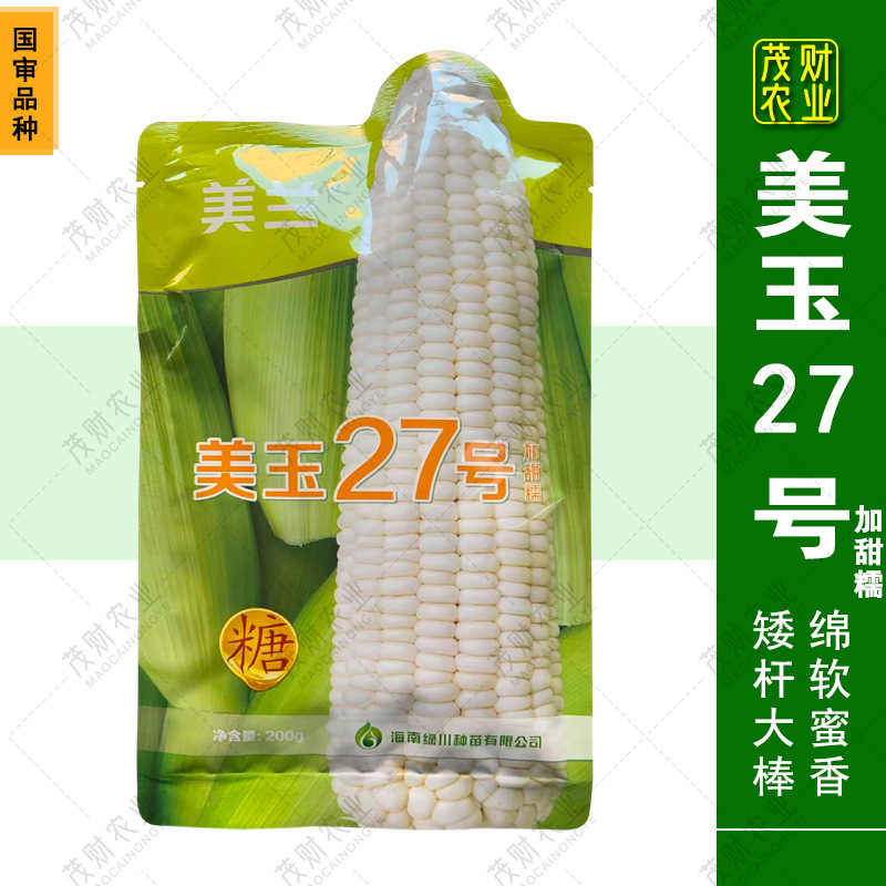 批发美玉27号白甜糯玉米种籽高产矮杆大棒甜加糯白糯玉米大田种子