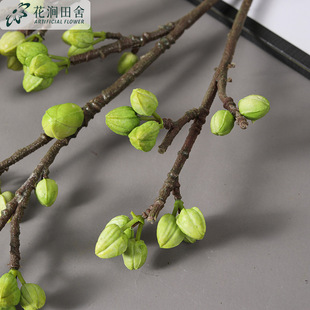 ��֦ ľ�޹� ���F�������}�Q�͏d�Ҿ��b廨����С����lؔ��