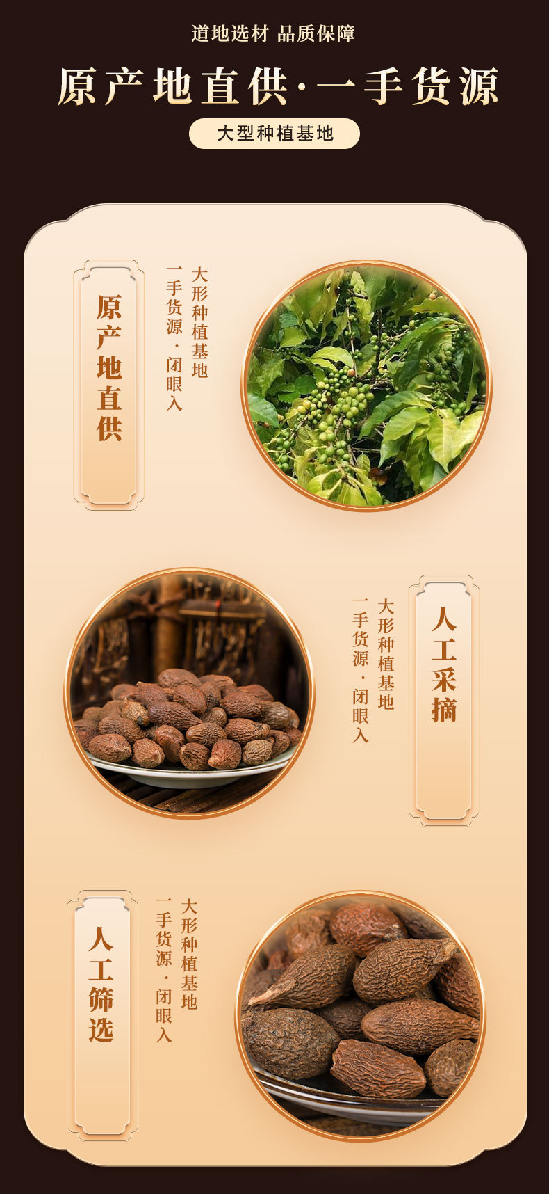 Pang Da Hai Boat Sterculia Seed 250g Dried Herbal Tea Ingredient for Throat-Soothing Infusions key features