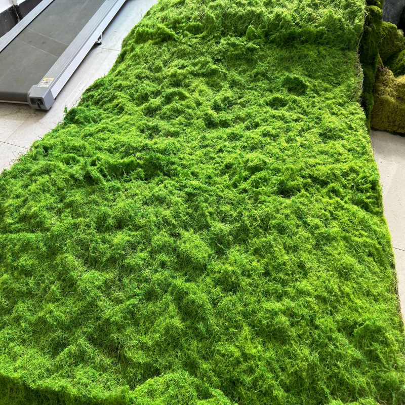 Price of gum silk velvet moss per square meter