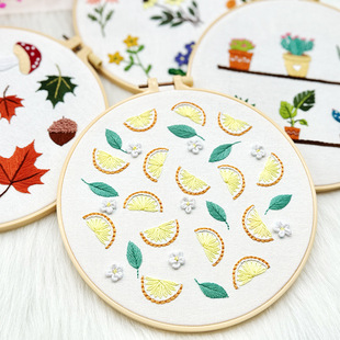 Embroidery DIY Flower and Grass Hanging Painting Lu Embroidery Handmade Kit Colorful Fruit Fabric Handmade Creative Basic Small Painting