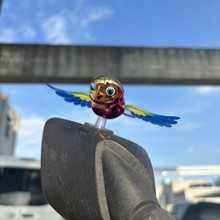 ins风新款爆款立体伴飞小鸟高级镀铬汽车镜子摆件摩托车摆件原创