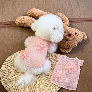 ����ȹ�Ӵ��ļ��ɐ۹����LС�w�����w�����B��ȹ͸��С��Ȯ�W��ȹ