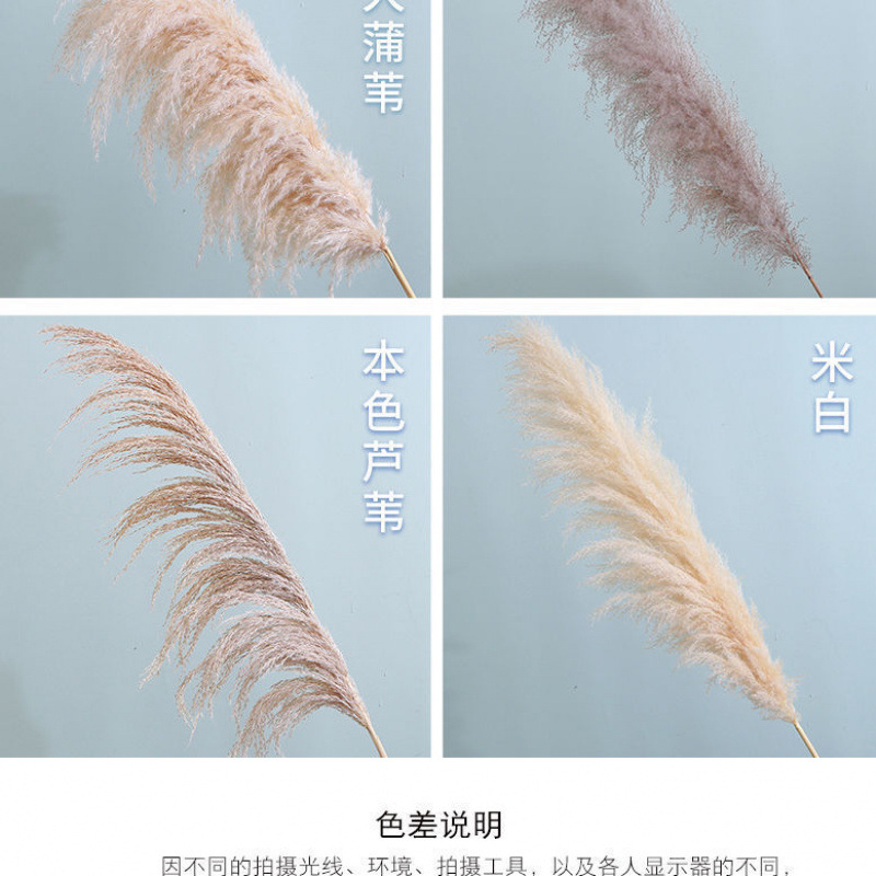 트루 컬러 하이 1.5m개