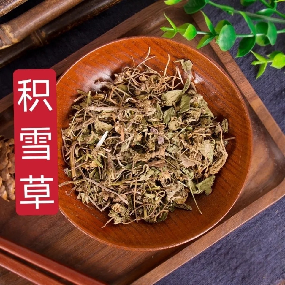 积雪草 中药材崩大碗 马蹄草 铜钱草批发