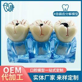 其他口腔护理;教学演示用品;医药教学器材