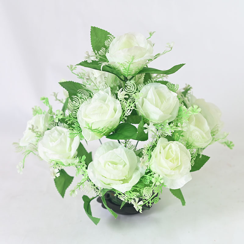 Blanco