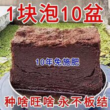 ����Ҭ�u���B�����s�I�B��ͨ�����߲˾GֲҬ�u���N���������mҬ��