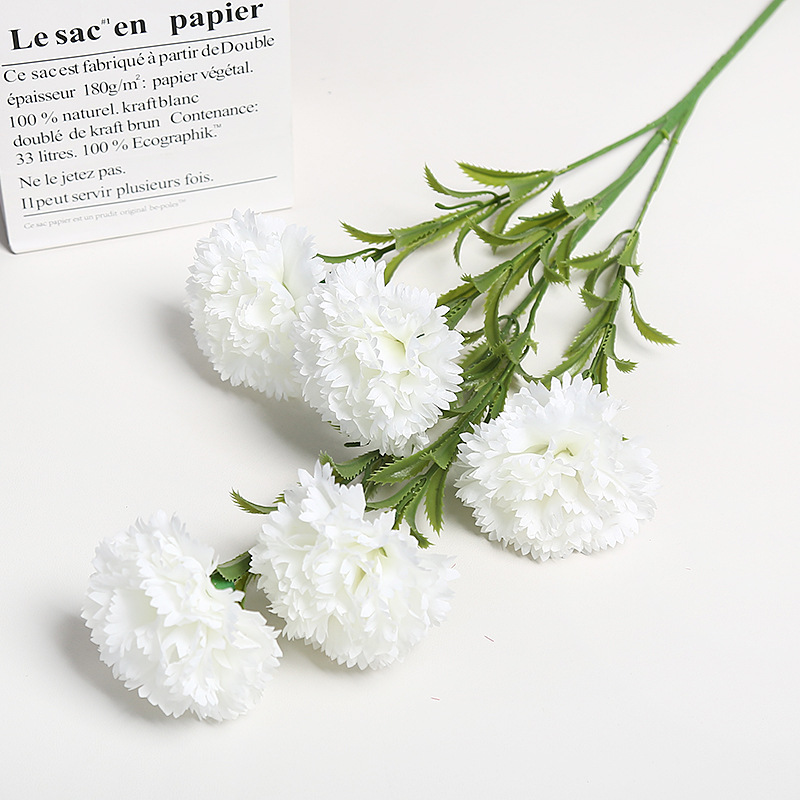 흰색 5개 카네이션