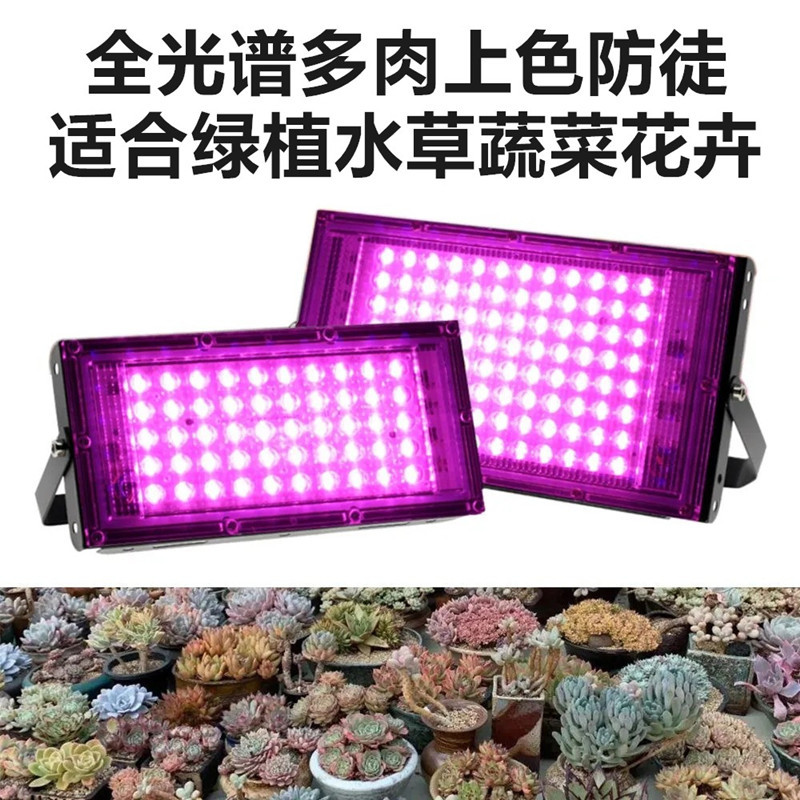 LED Succulent plants fill-in light household Spectrum Aquatic herb grow seedlings Fruits and vegetables flowers and plants Grow lights Sunlight