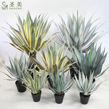 ���������m�J�C���Ԅ���Gֲ�ʹ��m�҃��쾰�Ӽ��b��辰��Ƥ�m