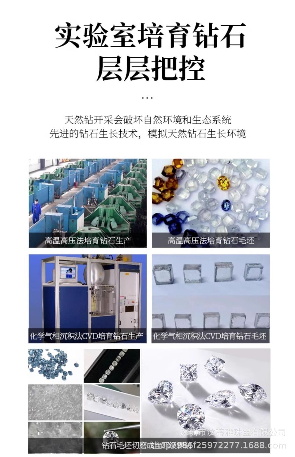 微信图片_20240428131539